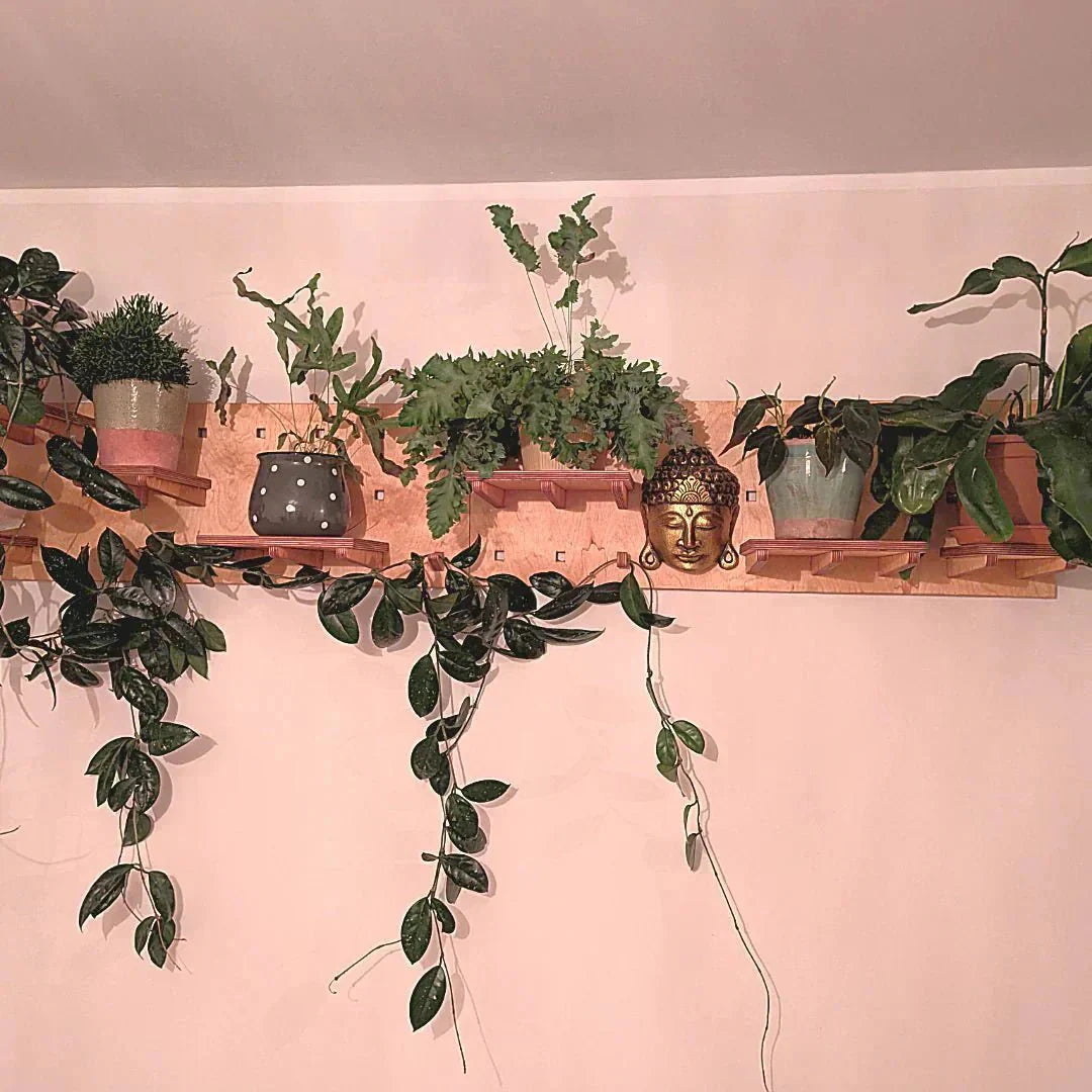 Pegboard – organizer czy dekoracja? To rozwiązanie łączy obie funkcje! - Ogony