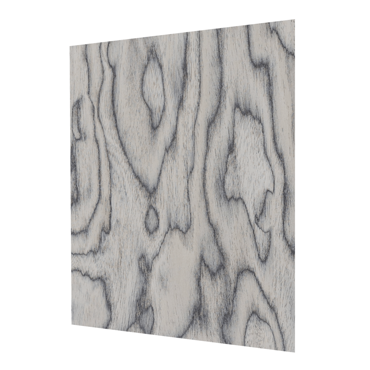 Korzeń Silver - Ogony - 2